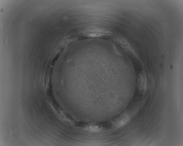 X0000086280598200704051337