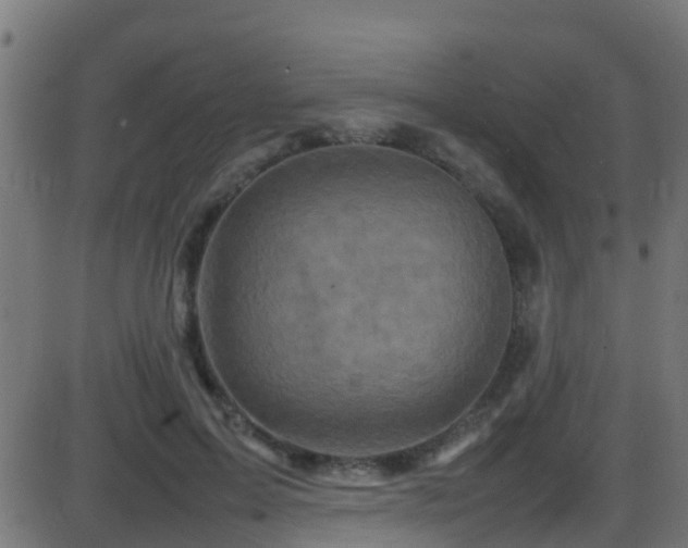 X0000086280599200704051337