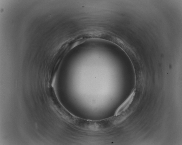 X0000086280600200704051337