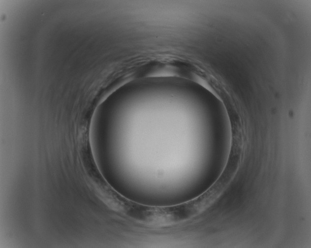 X0000086280601200704051337