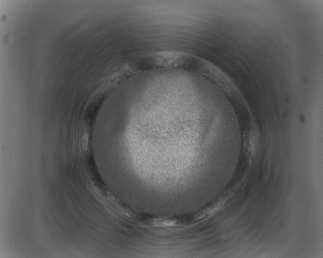 X0000086280602200704051337