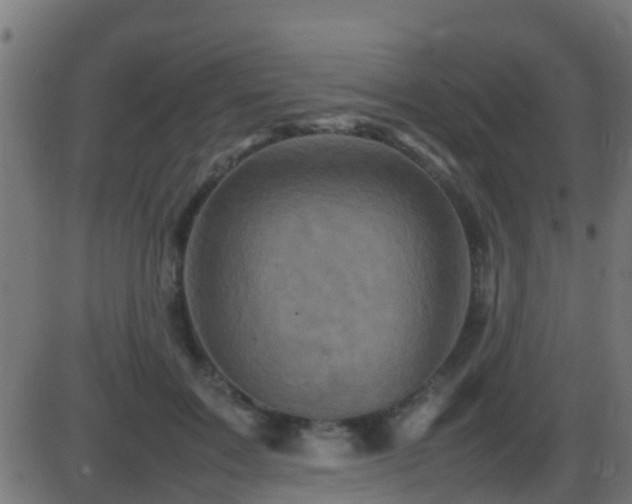 X0000086280603200704051337