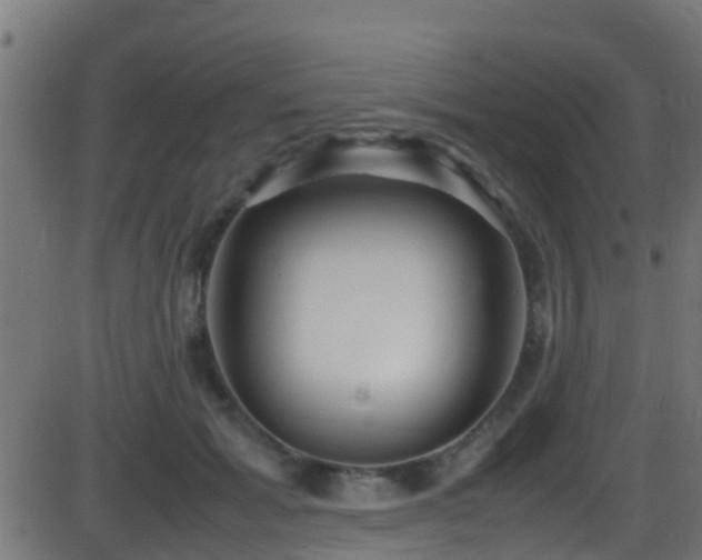 X0000086280605200704051337