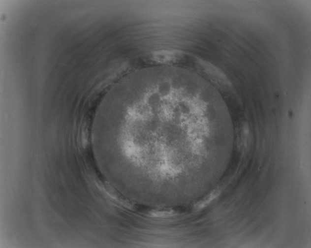 X0000086280606200704051337