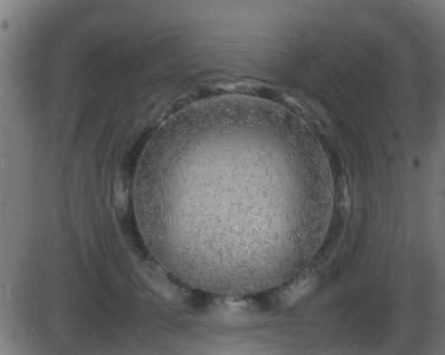 X0000086280607200704051337