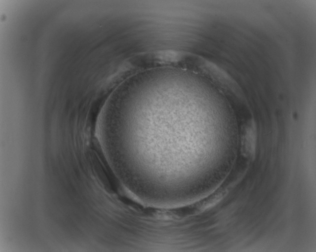 X0000086280608200704051337