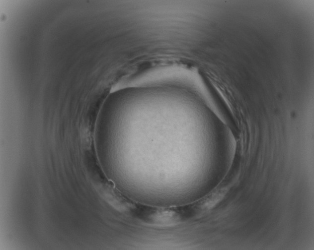 X0000086280609200704051337