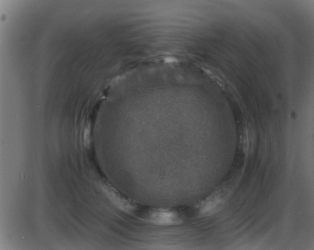 X0000086280610200704051337