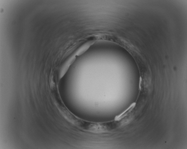 X0000086280611200704051337