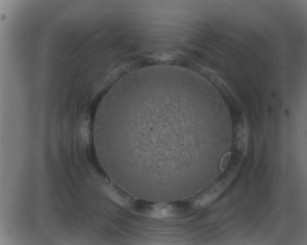 X0000086280612200704051337