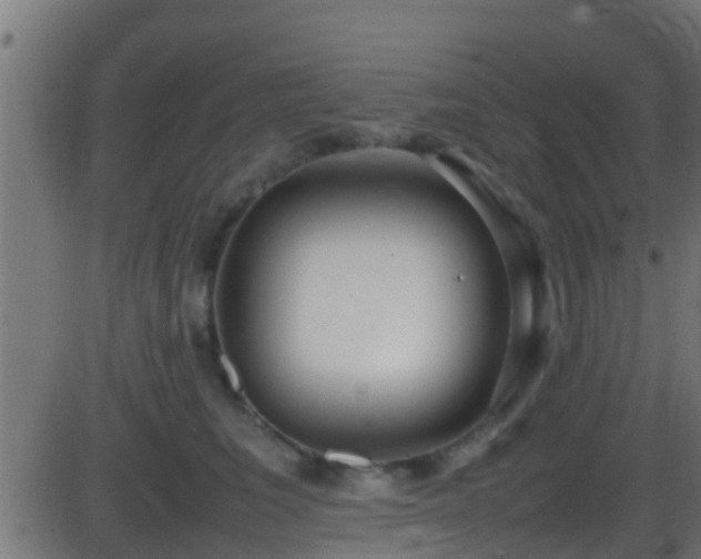 X0000086280613200704051337