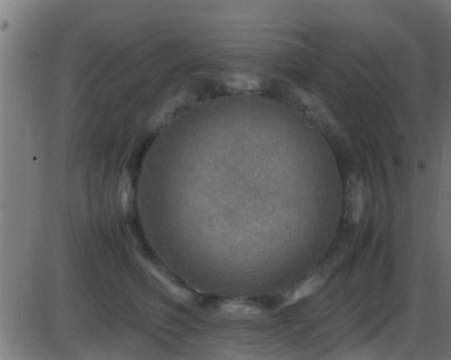 X0000086280614200704051337