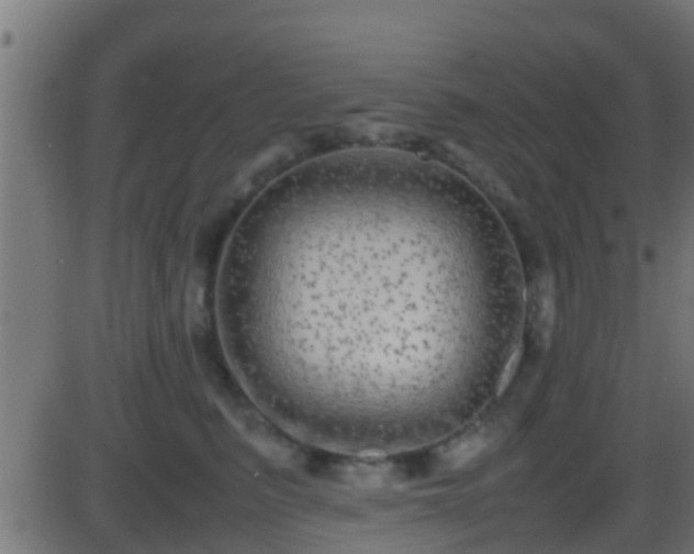 X0000086280615200704051336