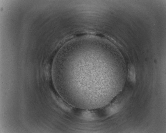 X0000086280616200704051336