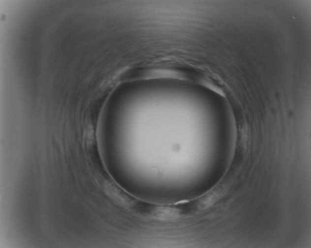 X0000086280617200704051336