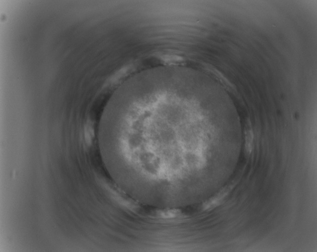 X0000086280618200704051336