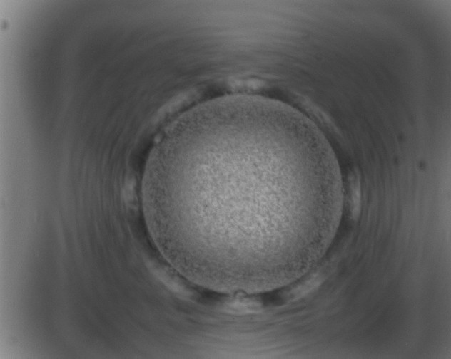 X0000086280619200704051336