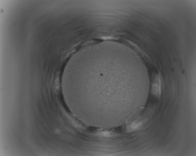 X0000086280620200704051336