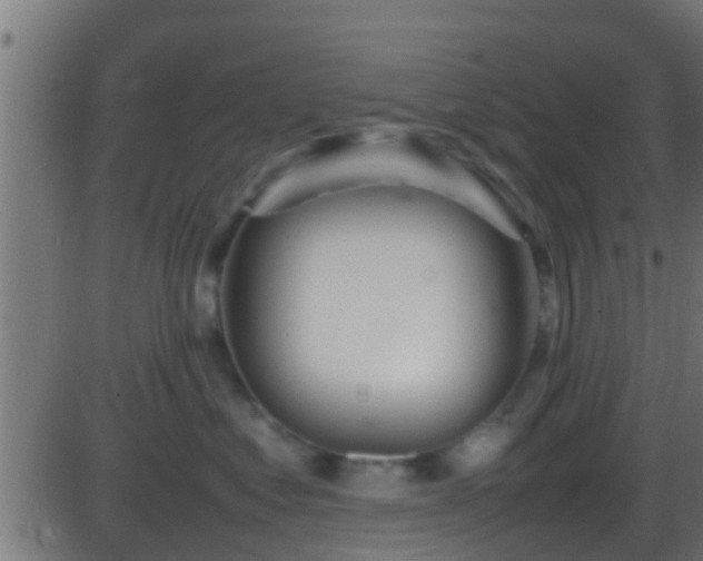 X0000086280621200704051336