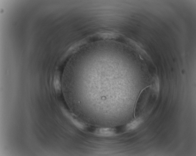 X0000086280622200704051336