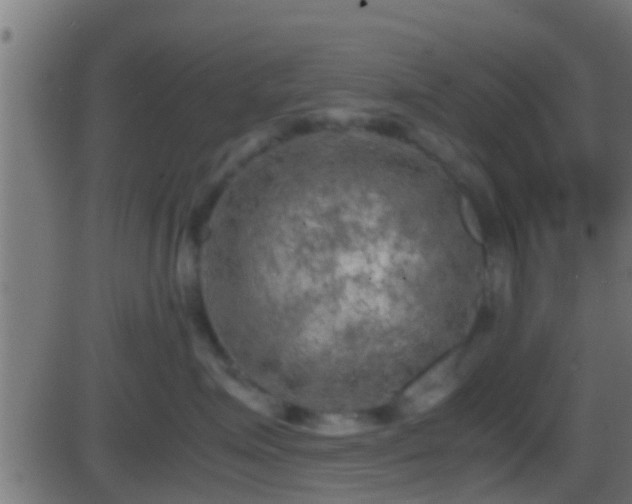 X0000086280623200704051336