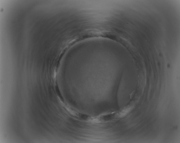 X0000086280624200704051336