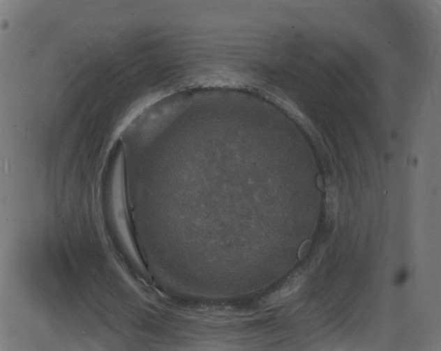 X0000086280626200704051336