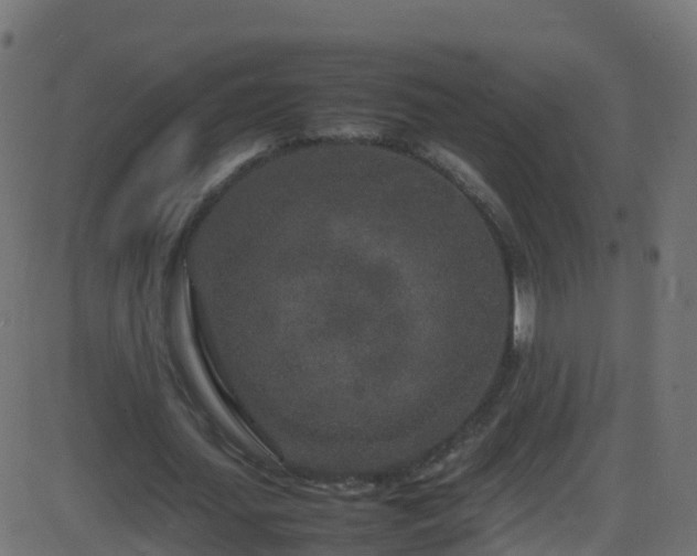 X0000086280627200704051336