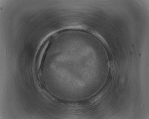 X0000086280628200704051336