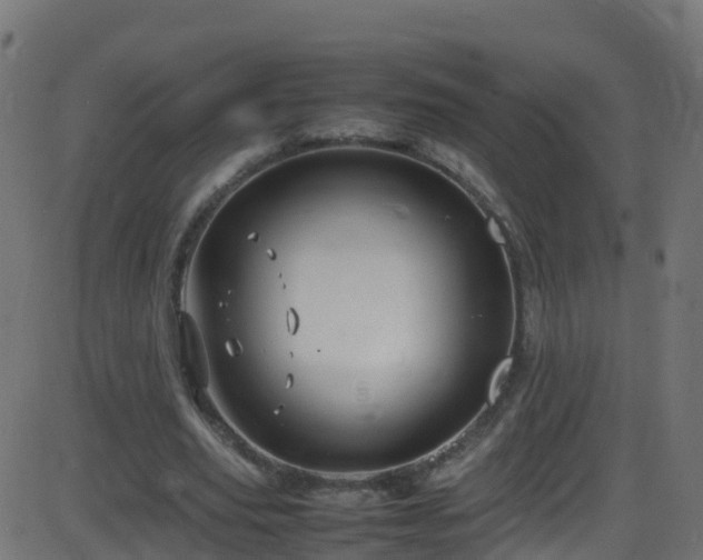 X0000086280629200704051336