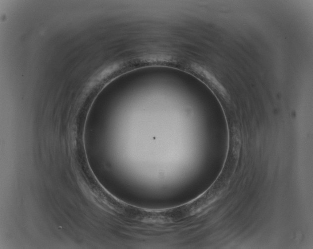 X0000086280631200704051336