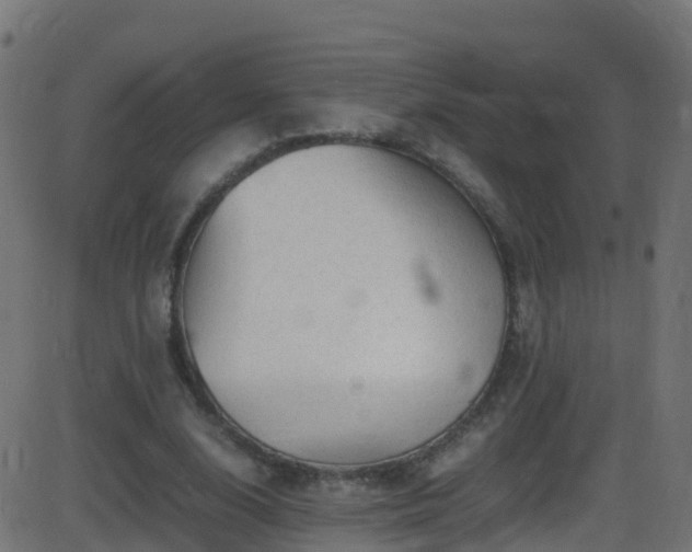 X0000086280632200704051336