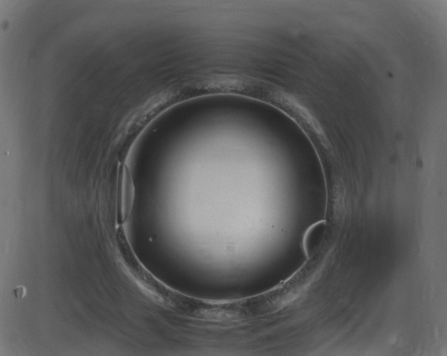 X0000086280633200704051336