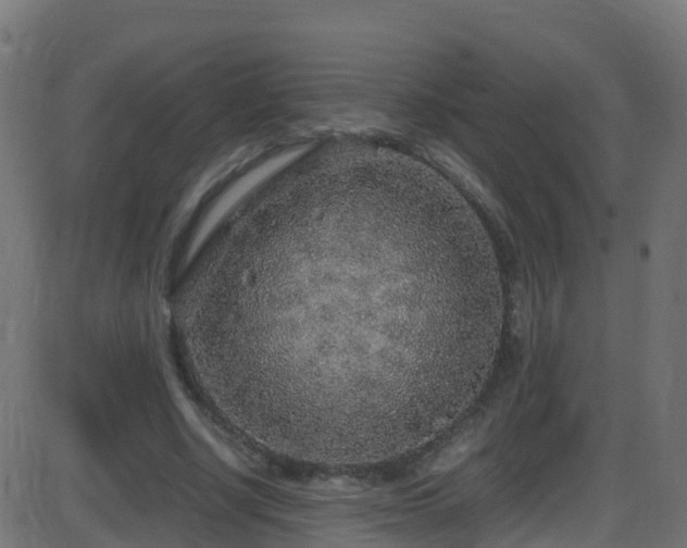 X0000086280634200704051336