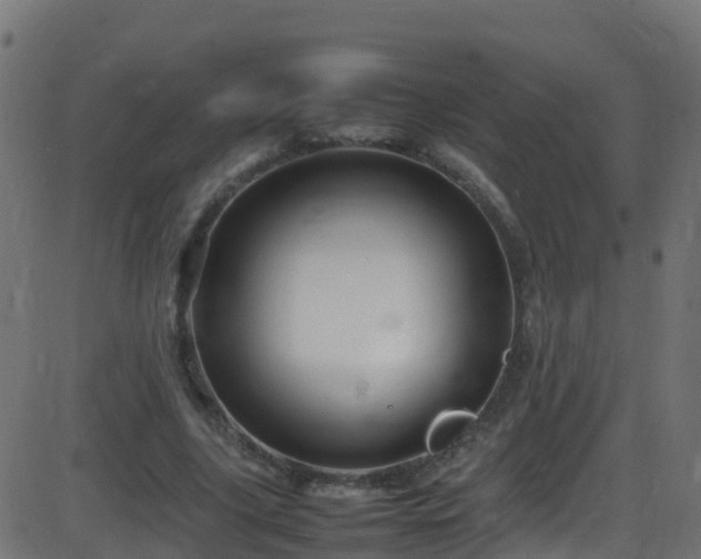 X0000086280635200704051336