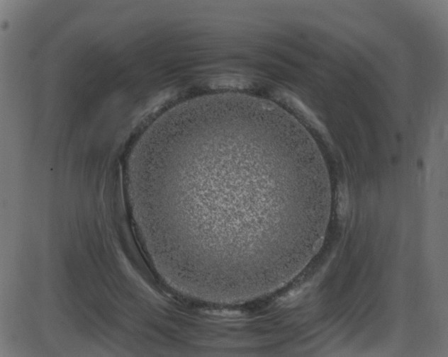 X0000086280637200704051336