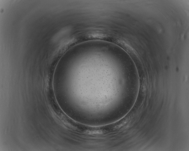 X0000086280639200704051336