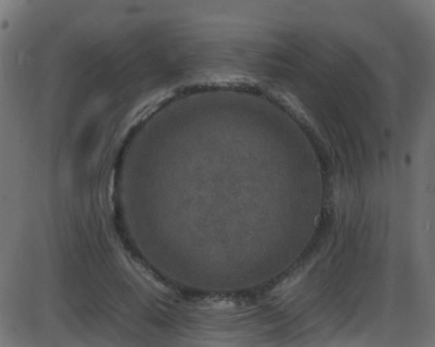 X0000086280640200704051336