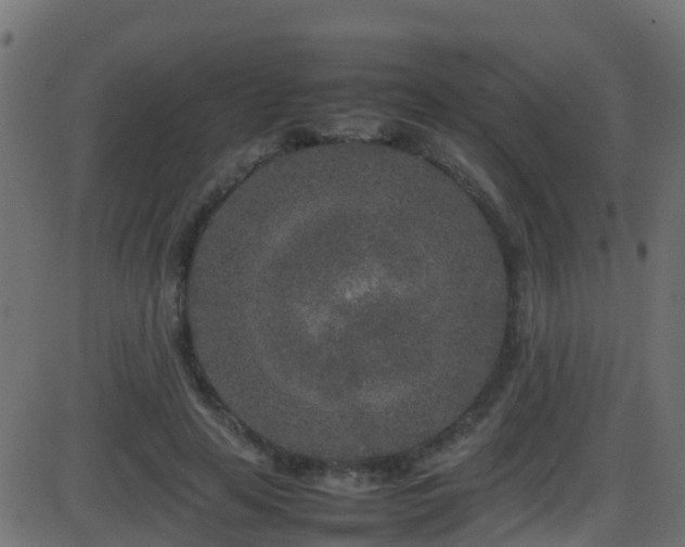 X0000086280641200704051336