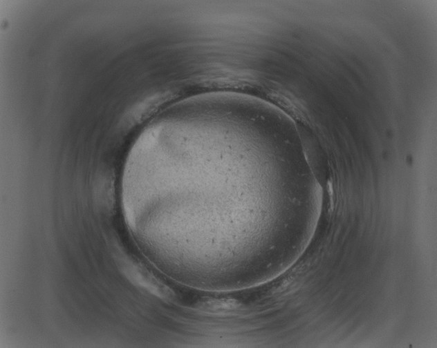 X0000086280642200704051336