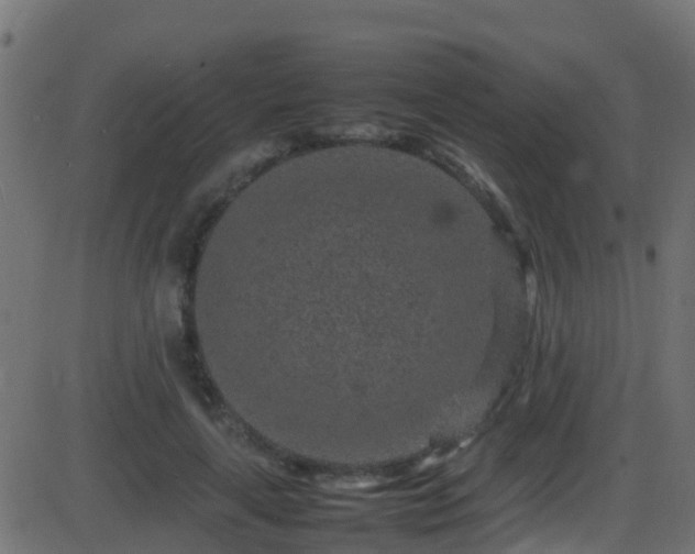 X0000086280643200704051336