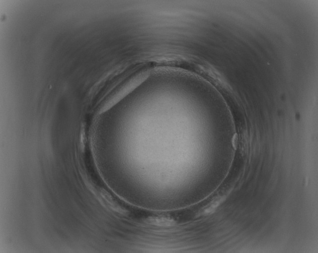 X0000086280644200704051336