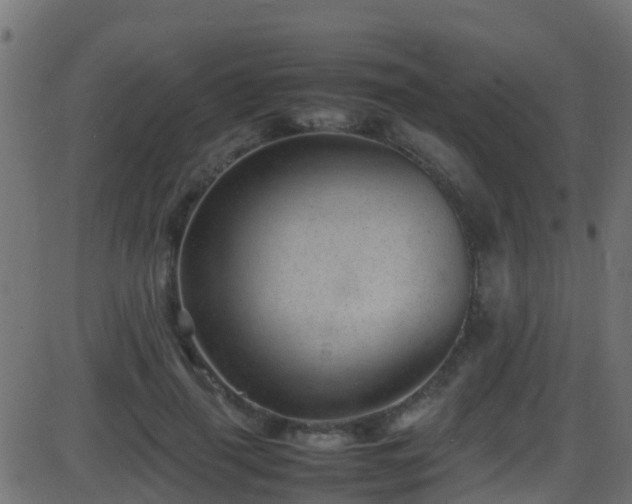 X0000086280645200704051336