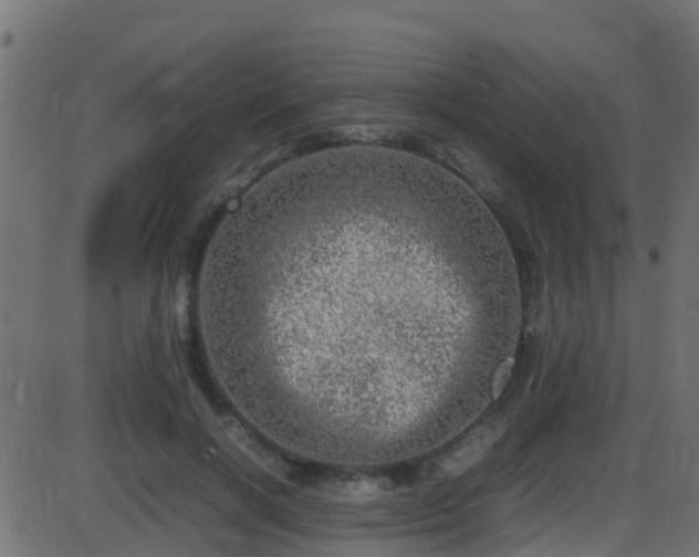 X0000086280646200704051336