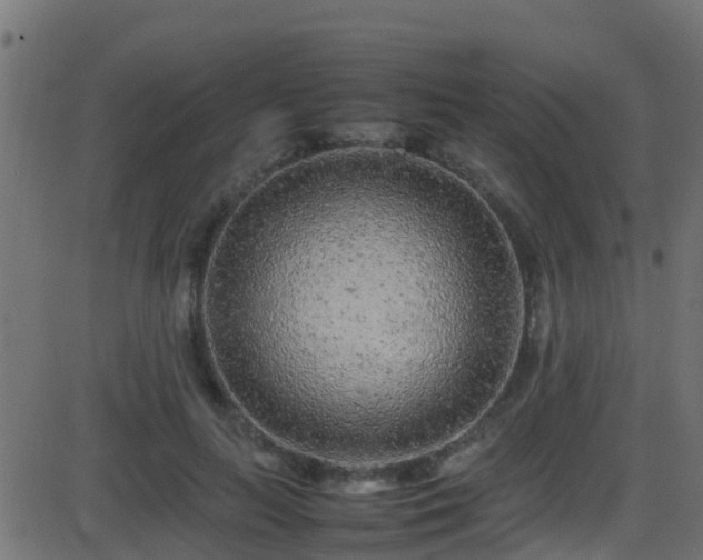 X0000086280647200704051336