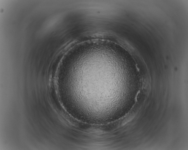 X0000086280648200704051336