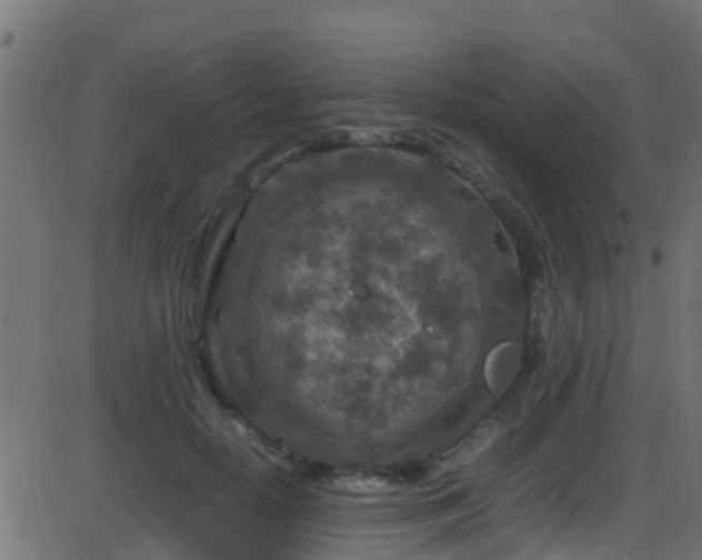 X0000086280650200704051336