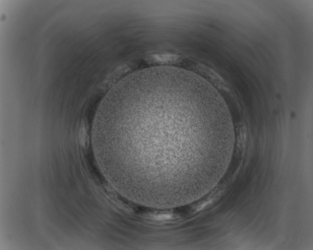 X0000086280651200704051336