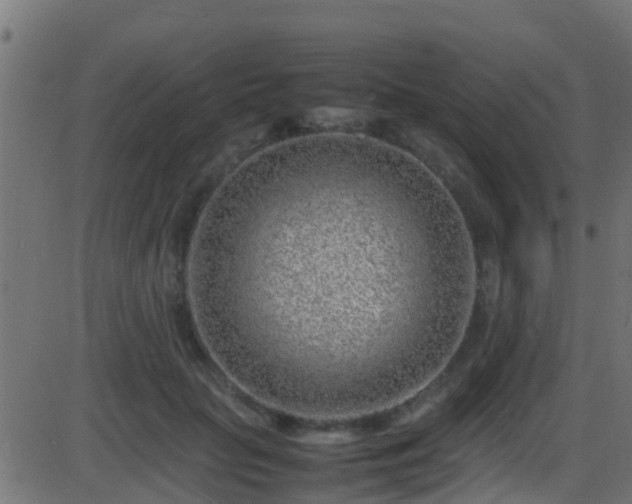 X0000086280653200704051336