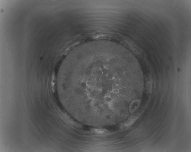 X0000086280654200704051336